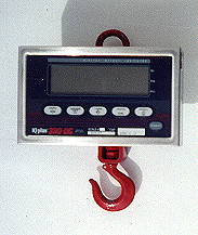hanging crane scale with hooks
